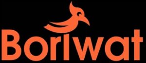 Boriwat logo black