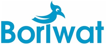 Boriwat Massagers Official Online Website Boriwat logo